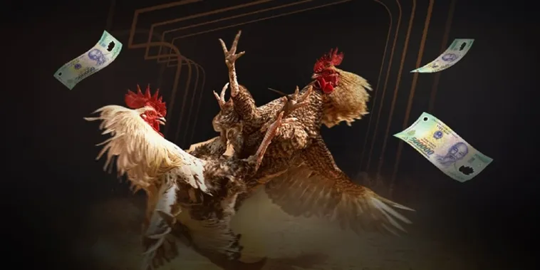 Đá Gà Hi88 Trực Tiếp Đỉnh Cao Cháy Cùng Đam Mê Bất Tận 1 Đá Gà Hi88 Trực Tiếp Đỉnh Cao Cháy Cùng Đam Mê Bất Tận